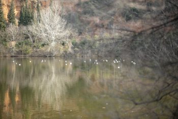 Σεμινάρια Φωτογραφίας αρχαρίων Θεσσαλονίκη 