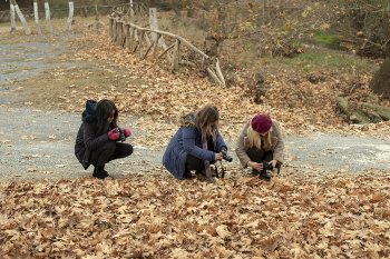 Σεμινάρια Φωτογραφίας αρχαρίων Θεσσαλονίκη 