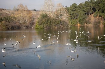 Σεμινάρια Φωτογραφίας αρχαρίων Θεσσαλονίκη 